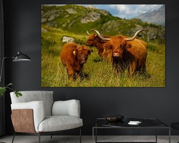Schotse hoogland runderen met hun kleine kalfje van Leo Schindzielorz