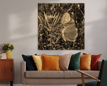 Digital Art Medium Bloemen Sepia