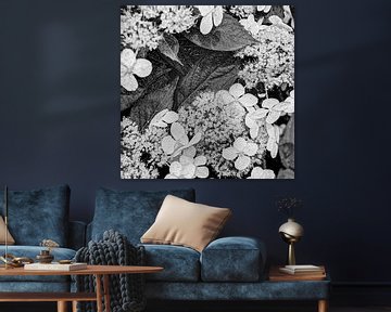 Digital Art Medium Bloemen Zwart-Wit
