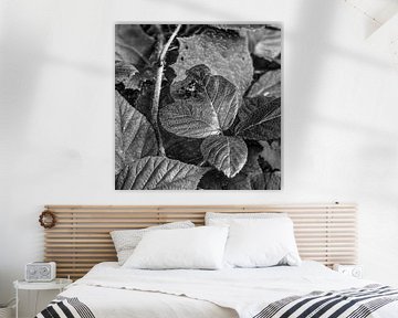 Digital Art Medium Blumen Pflanzen Schwarz und Weiß von Hendrik-Jan Kornelis