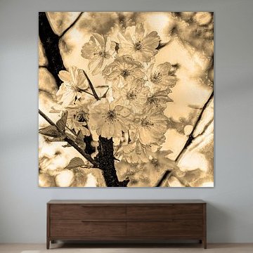 Digital Art Medium Blumen Pflanzen Blüte