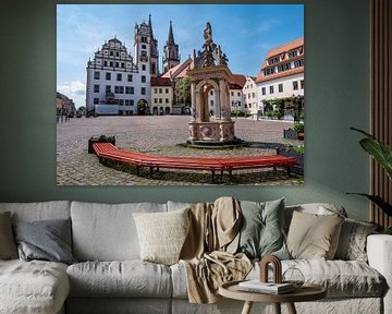 Marktplatz von Oschatz in Sachsen von Animaflora PicsStock