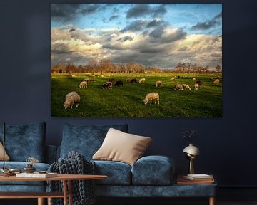 Schafe in holländischer Landschaft von Arthur Schotman
