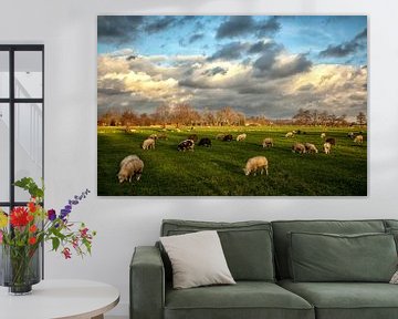 Hollands Landschap. Wolkenlucht en schapen.