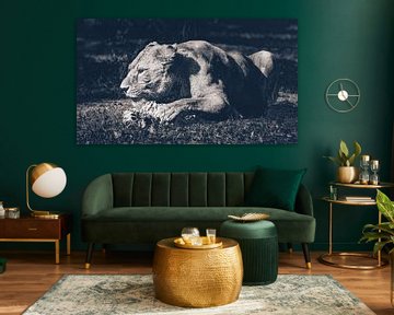 My prey! A magnificent lion chews its prey at Serengeti Park Resort Zoo by Jakob Baranowski - Photography - Video - Photoshop