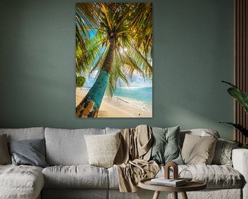 Palmboom op het Caribische strand op het eiland Barbados / Caribisch gebied. van Voss Fine Art Fotografie