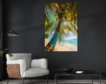 Palm tree on the Caribbean beach on the island of Barbados / Caribbean. by Voss Fine Art Fotografie