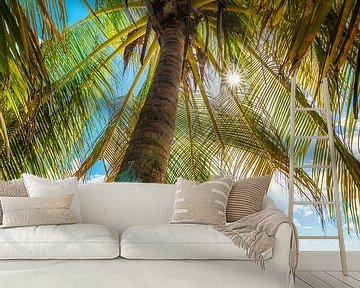 Palmboom op het Caribische strand op het eiland Barbados / Caribisch gebied. van Voss Fine Art Fotografie