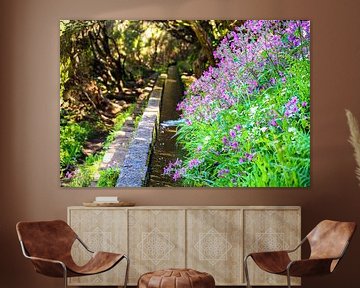 Waterkanaal en bloemen op Madeira van Leo Schindzielorz