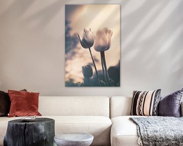 Een vleugje emotie - sfeervolle bloemenzee van tulpen in stille rouw van Jakob Baranowski - Photography - Video - Photoshop