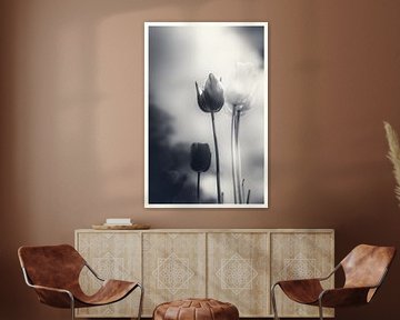 A touch of emotion - atmospheric sea of flowers from tulips in silent mourning by Jakob Baranowski - Photography - Video - Photoshop