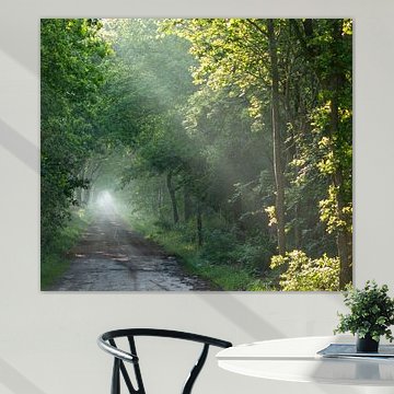 The Light Through the Trees