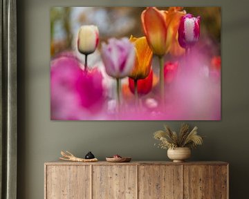 Tulpen von Lisa Dumon