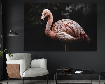 Flamingo by Lisa Dumon