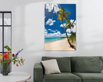 Palmbomen op het strand op het eiland Barbados in het Caribisch gebied. van Voss Fine Art Fotografie