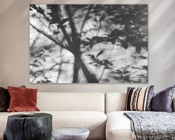 Forêt de rêve #2 - noir/blanc sur Floris Kok