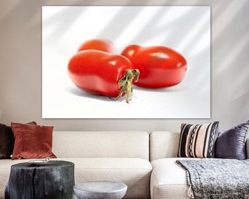 reife Roma-Tomaten mit weißem Hintergrund