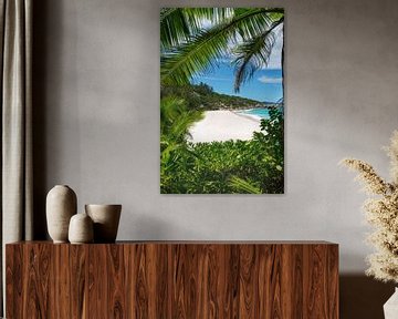 Strand mit Palmen auf der Insel La Digue auf den Seychellen. von Voss Fine Art Fotografie