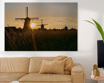 Windmühlen bei Sonnenuntergang von Etienne Rijsdijk
