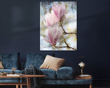 Magnifieke Magnolia | Een prachtige magnolia in de kleur roze van Wil Vervenne