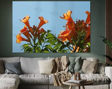 Fotopintura