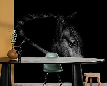 Whispering Shadows - Horse in Contrast by Femke Ketelaar