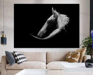 Weißes Pferd in Fine-Art-Ausführung von Femke Ketelaar