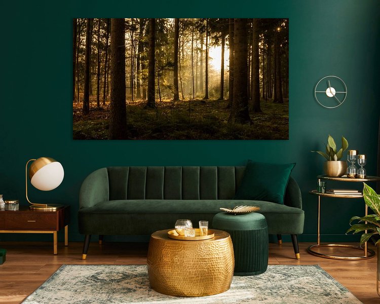 Aperçu de la chambre