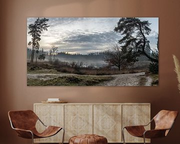 Staatsbos panorama van WILBERT HEIJKOOP photography