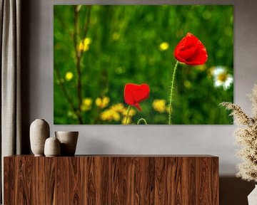 Geniet van de natuur van Photoart-Naegele