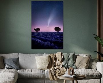 Komeet Neowise c/2020 F3 in het lavendelveld in de Provence, Frankrijk. van Voss Fine Art Fotografie