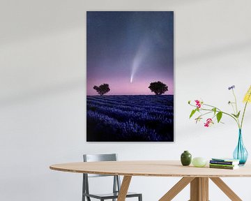 Komet Neowise c/2020 F3 im Lavendelfeld in der Provence in Frankreich. von Voss Fine Art Fotografie