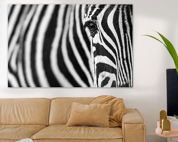 Zebra-Streifen von Richard Guijt Photography