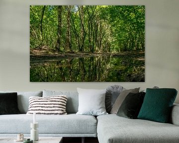 bos bomen weerspiegeling van Caroline Drijber