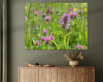 Orchidée dans un champ de fleurs sur Marielle Bakker