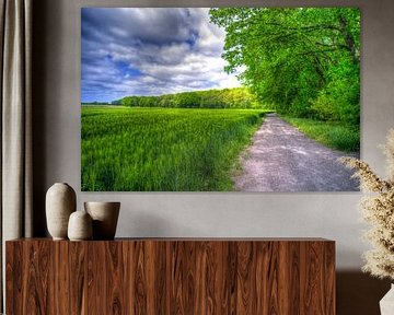 Wandelpad