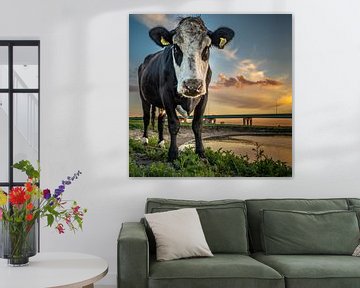 Porträt einer Kuh mit Sonnenuntergang von Jan Hermsen