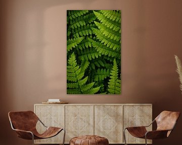 Fern Doubles von Loris Photography