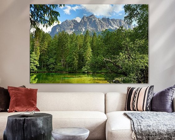 Aperçu de la chambre