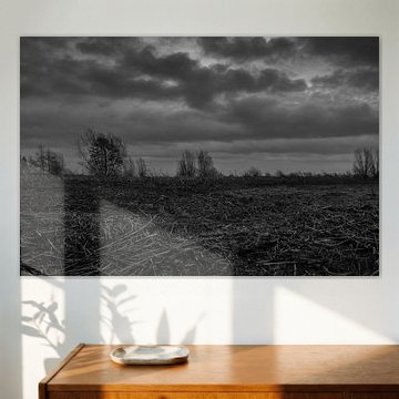 Hollands winterlandschap by Jacco van der Veen