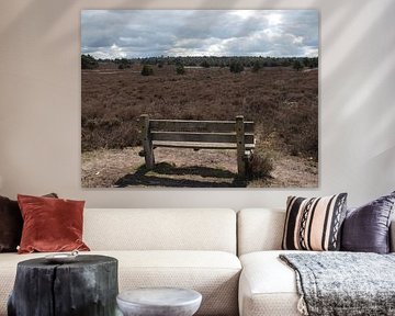 Bench overlooking the heath
