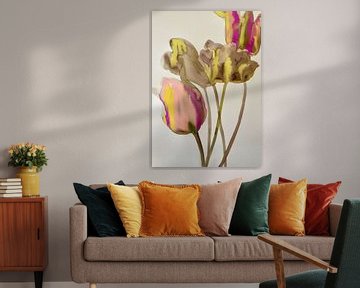 Tulipes sable et citron vert sur Helia Tayebi Art