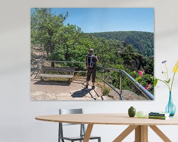 Wandern im Nationalpark Harz in Deutschland von Animaflora PicsStock