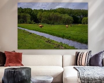 Koeien in het weiland van FotoGraaG Hanneke