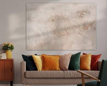 Marram grass on the dunes by DsDuppenPhotography