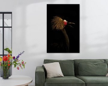 In the dark series Tropical bird van Foto Studio Labie