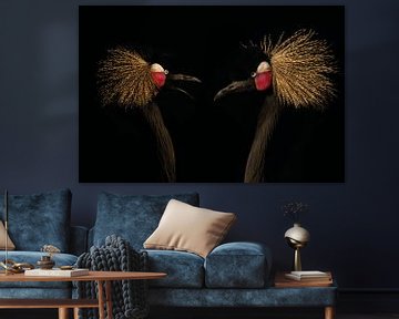 In the dark series Tropical Birds van Lynlabiephotography