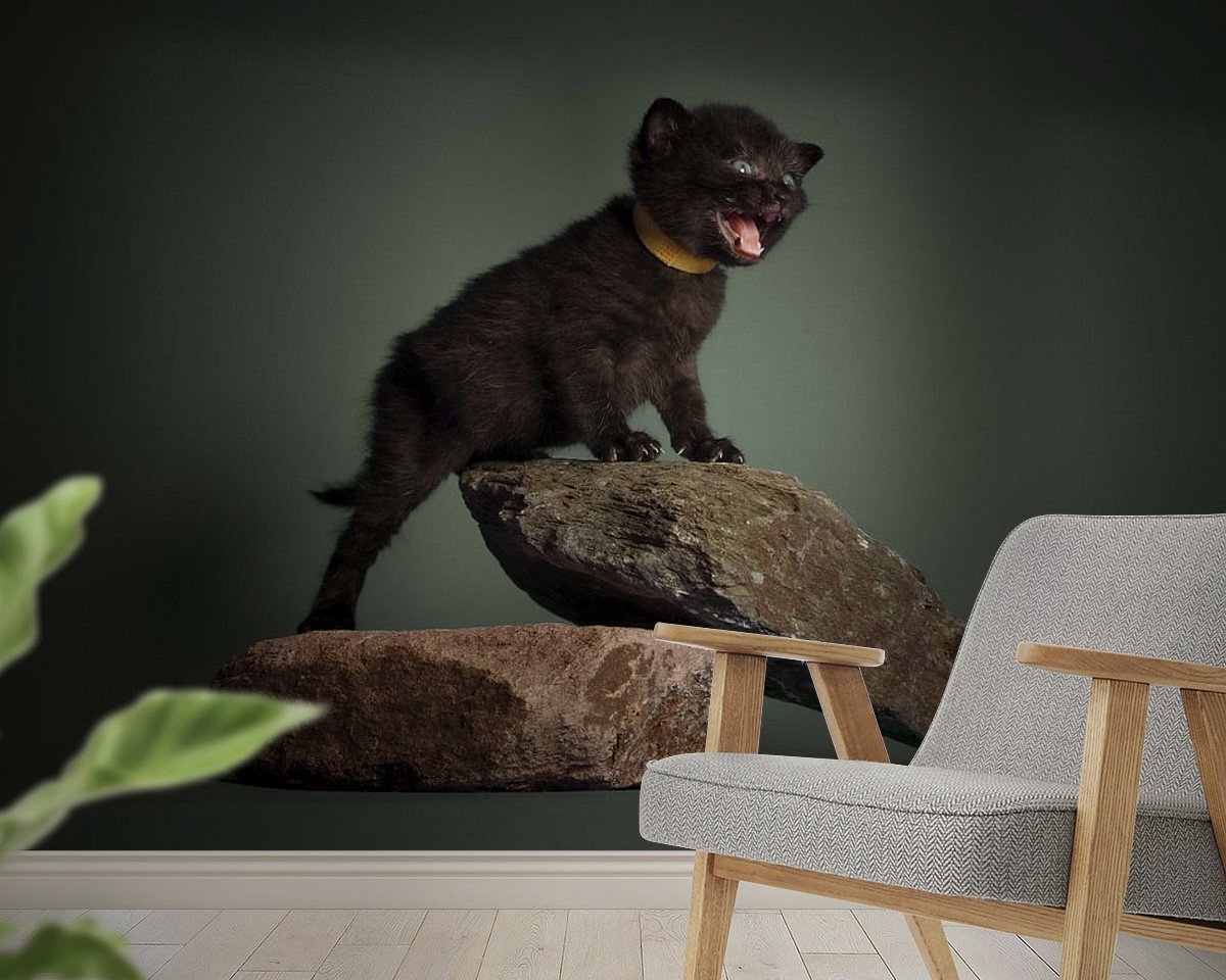 Raumvorschau