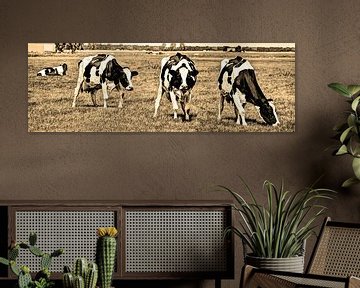 Zwartbont Koeien in de Weiland Sepia van Hendrik-Jan Kornelis