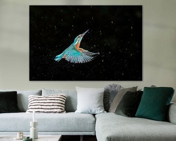 Eisvogel im Weltraum von Larissa Rand
